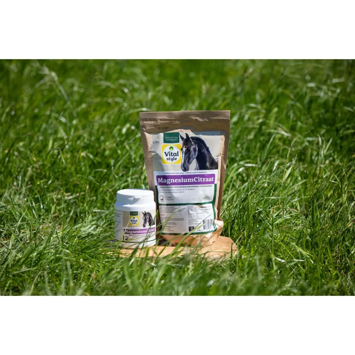 Vitalstyle Magnesiumcitraat 1