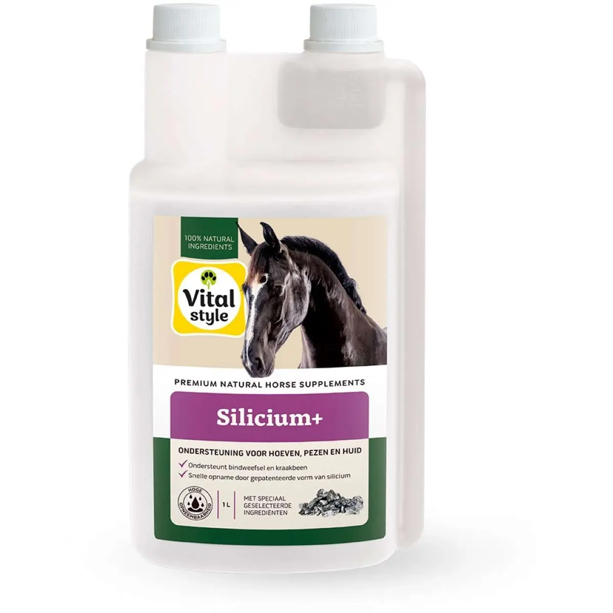 Vitalstyle Silicium+ 1