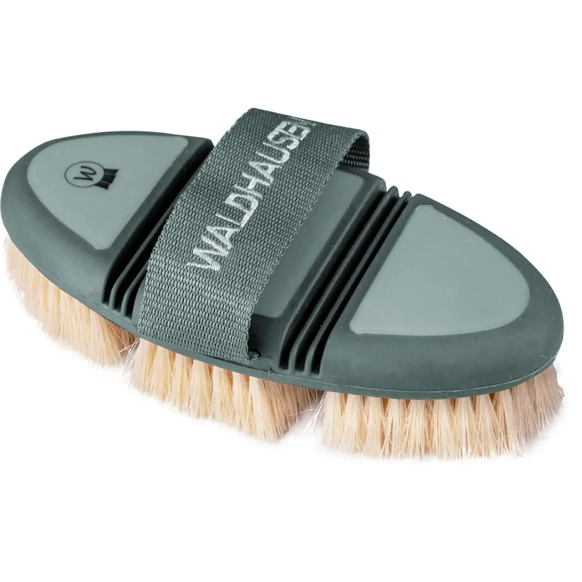 Waldhausen Harde Borstel Flex Mistletoe 1