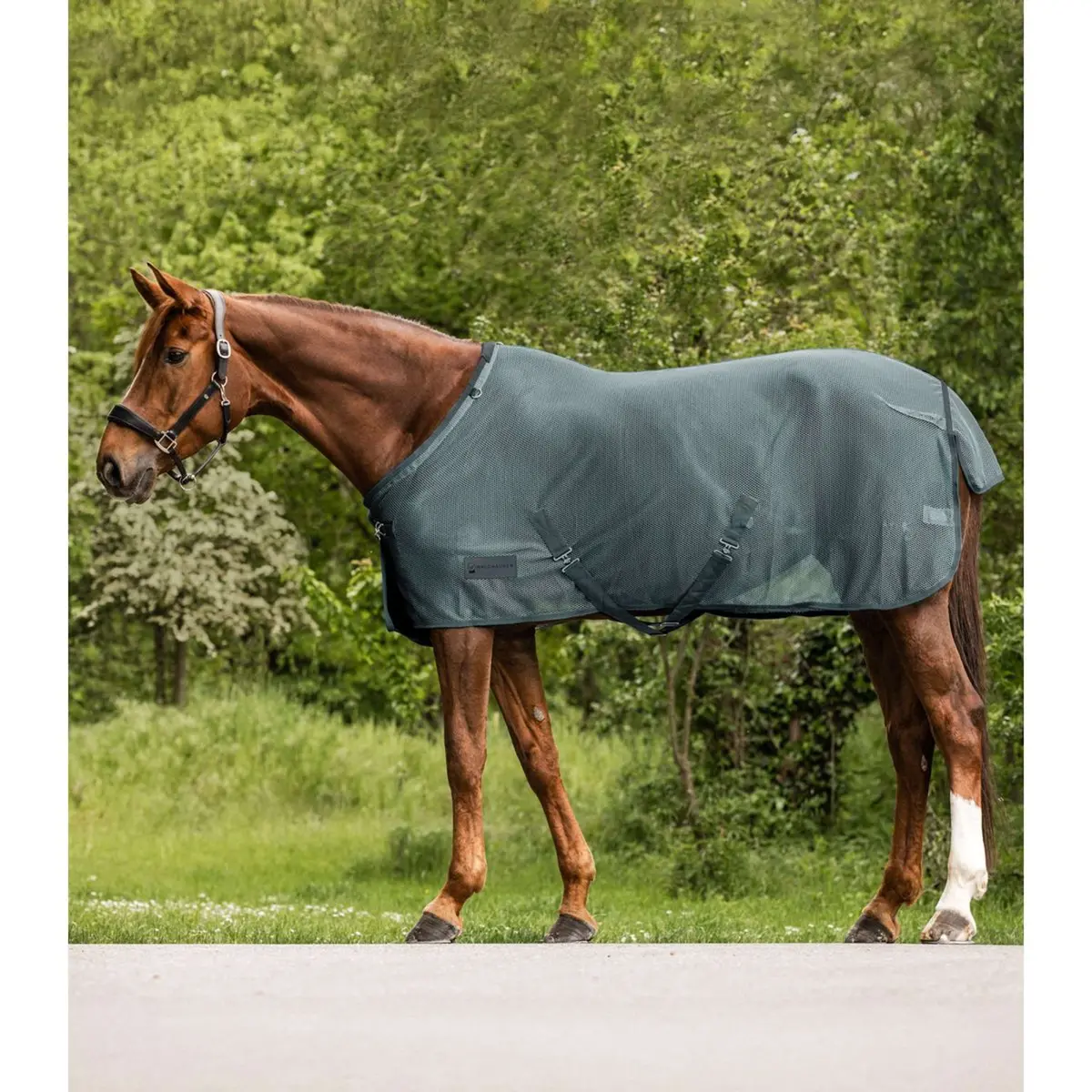 Waldhausen Vliegendeken Comfort Kruissingels Pine Green 1