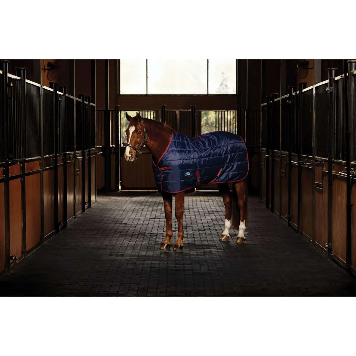 Weatherbeeta Staldeken Comfitec 210D Channel Quilt Standard Neck 100G Navy/Burgundy 1