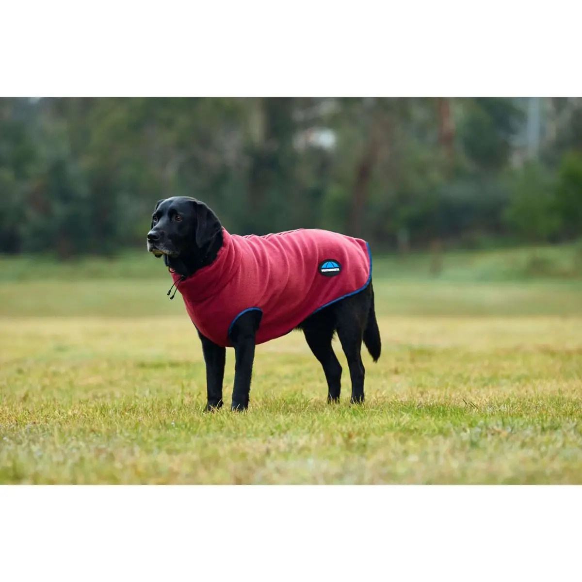 Weatherbeeta Hondendeken Comfitec Fleece Zip Burgundy/Navy 1