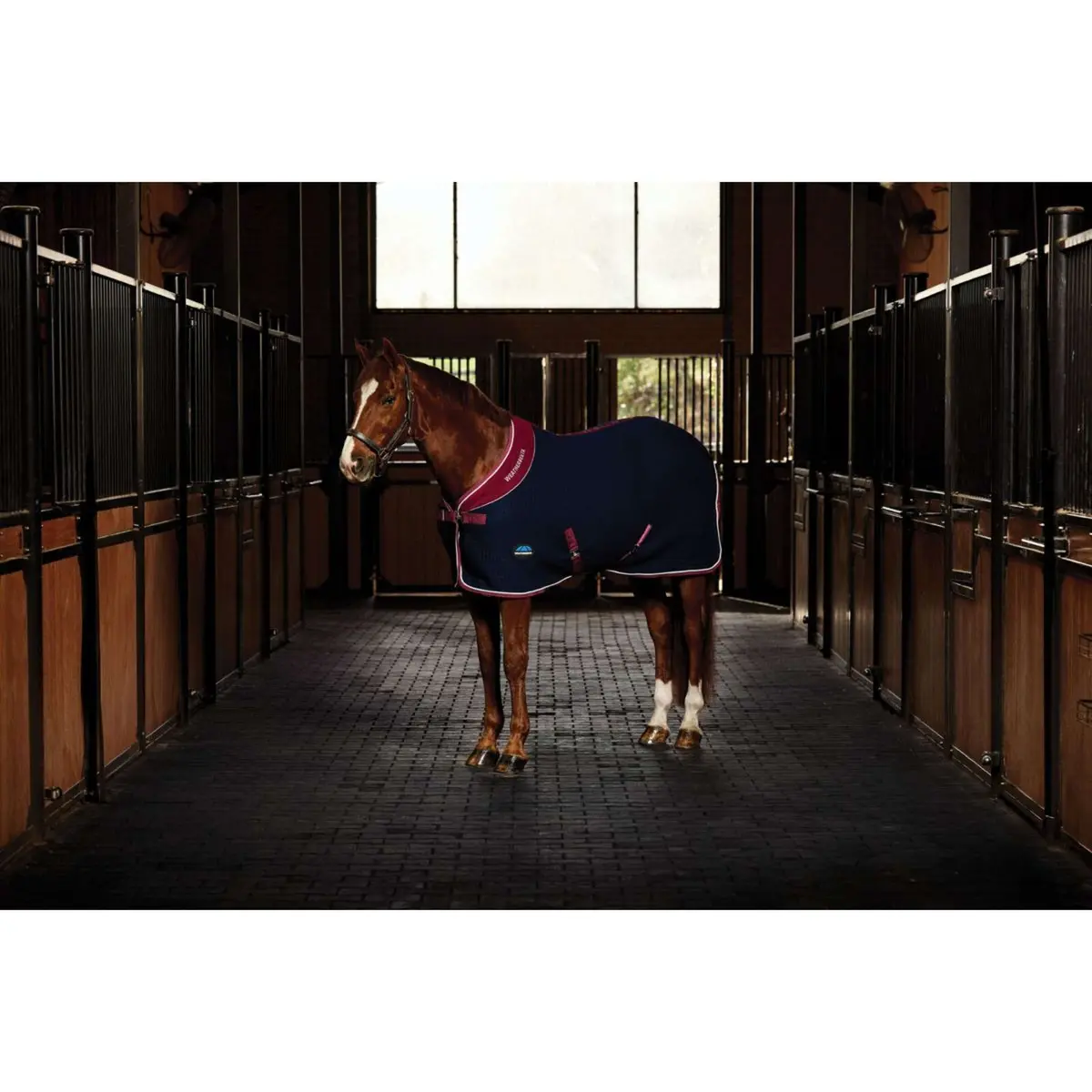 Weatherbeeta Cooler Thermocell Standard Neck Navy/Burgundy 1