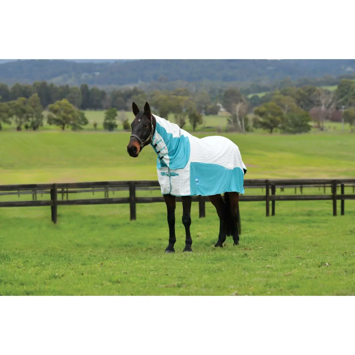 Weatherbeeta Cooler Cotton Airstream Ii Detach-A-Neck White/Mint 1