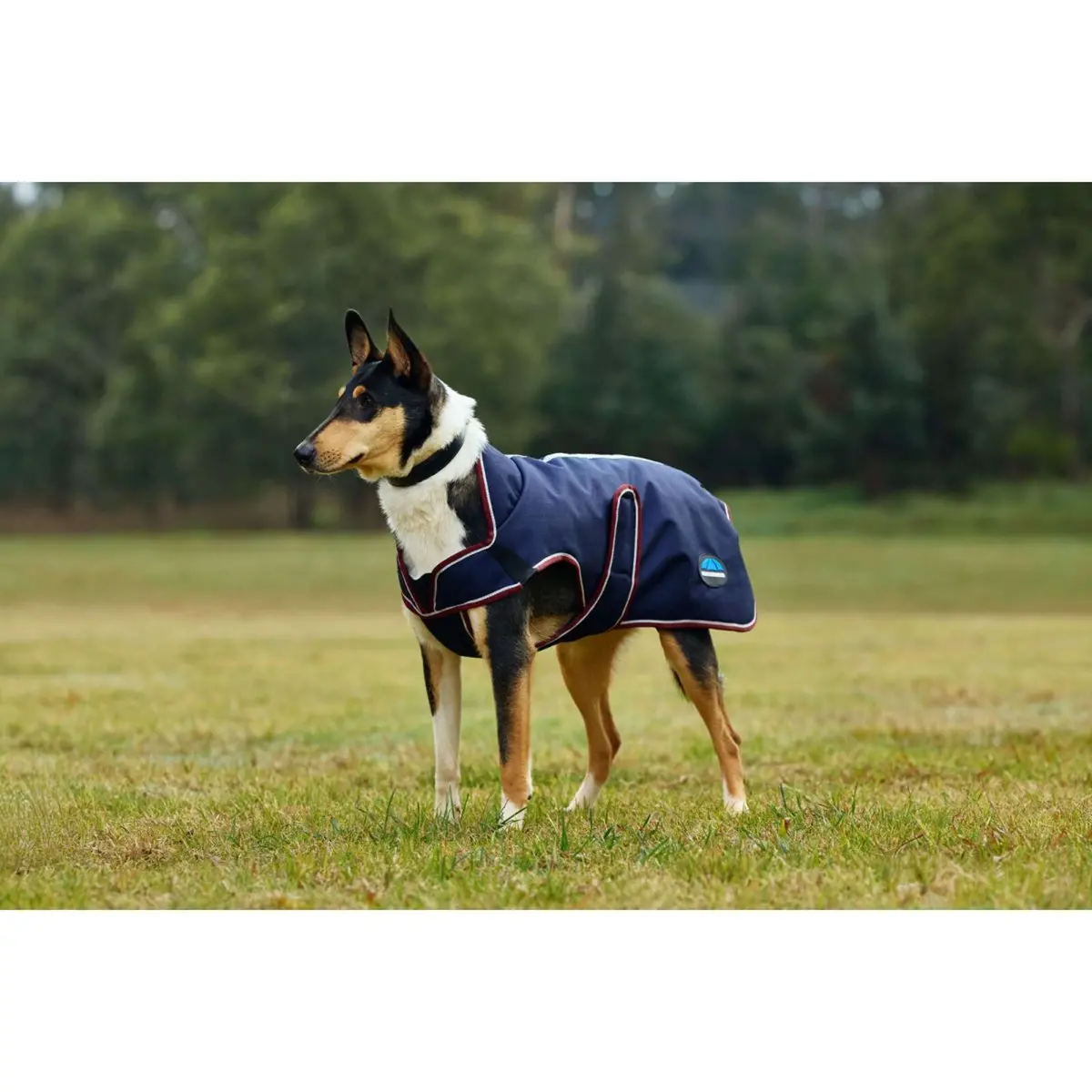 Weatherbeeta Hondendeken Comfitec Premier Deluxe Waterproof Navy/Burgundy 1
