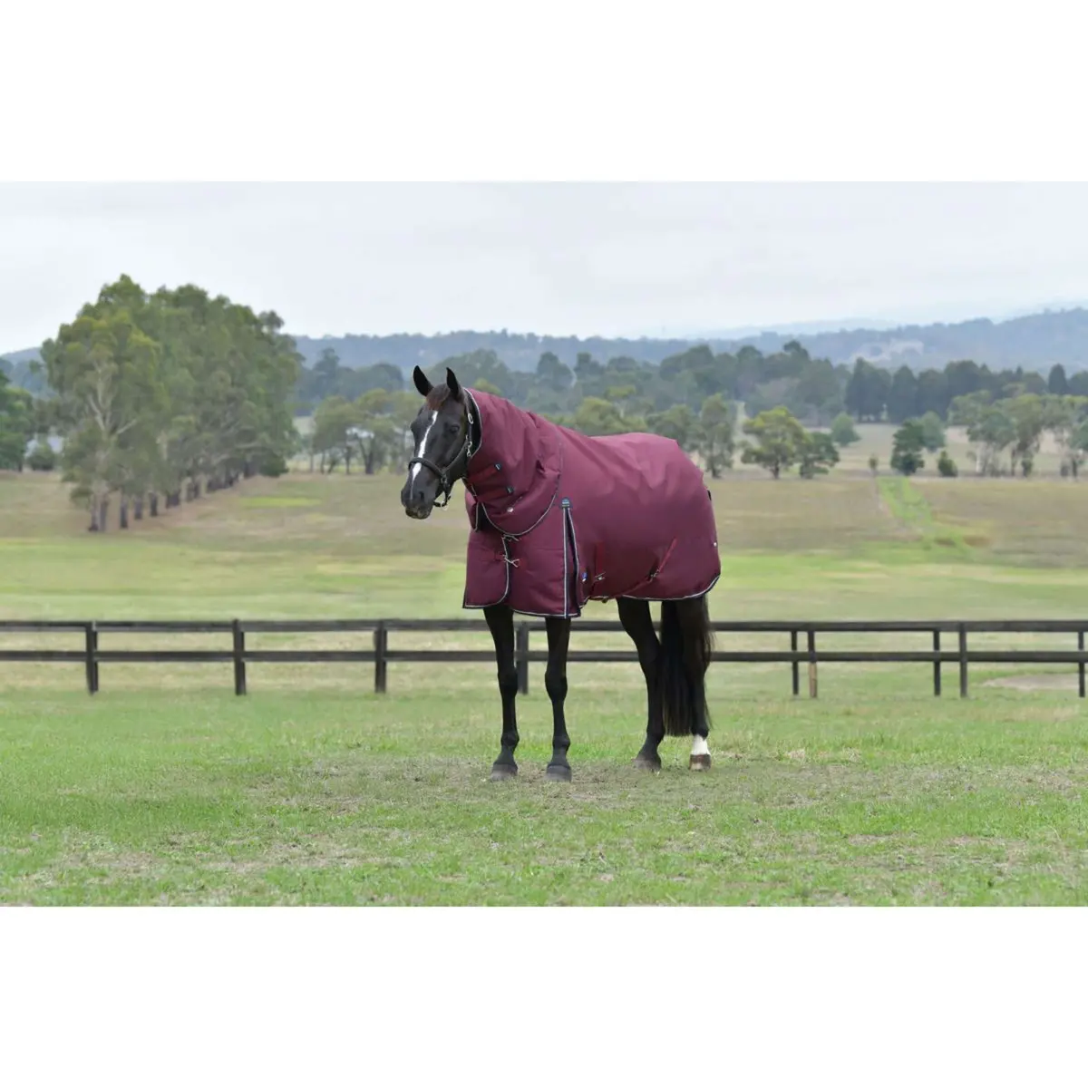 Weatherbeeta Comfitec Essential Turnout Detach-A-Neck 220G Burgundy/Navy 1