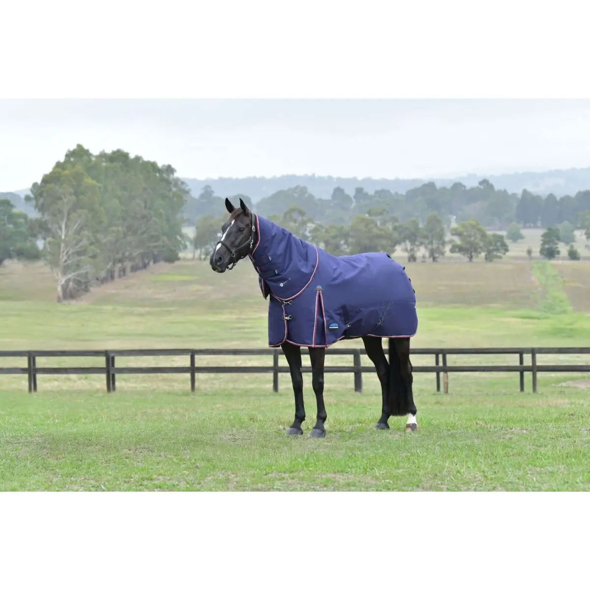 Weatherbeeta Comfitec Essential Turnout Detach-A-Neck 220G Navy/Burgundy 1