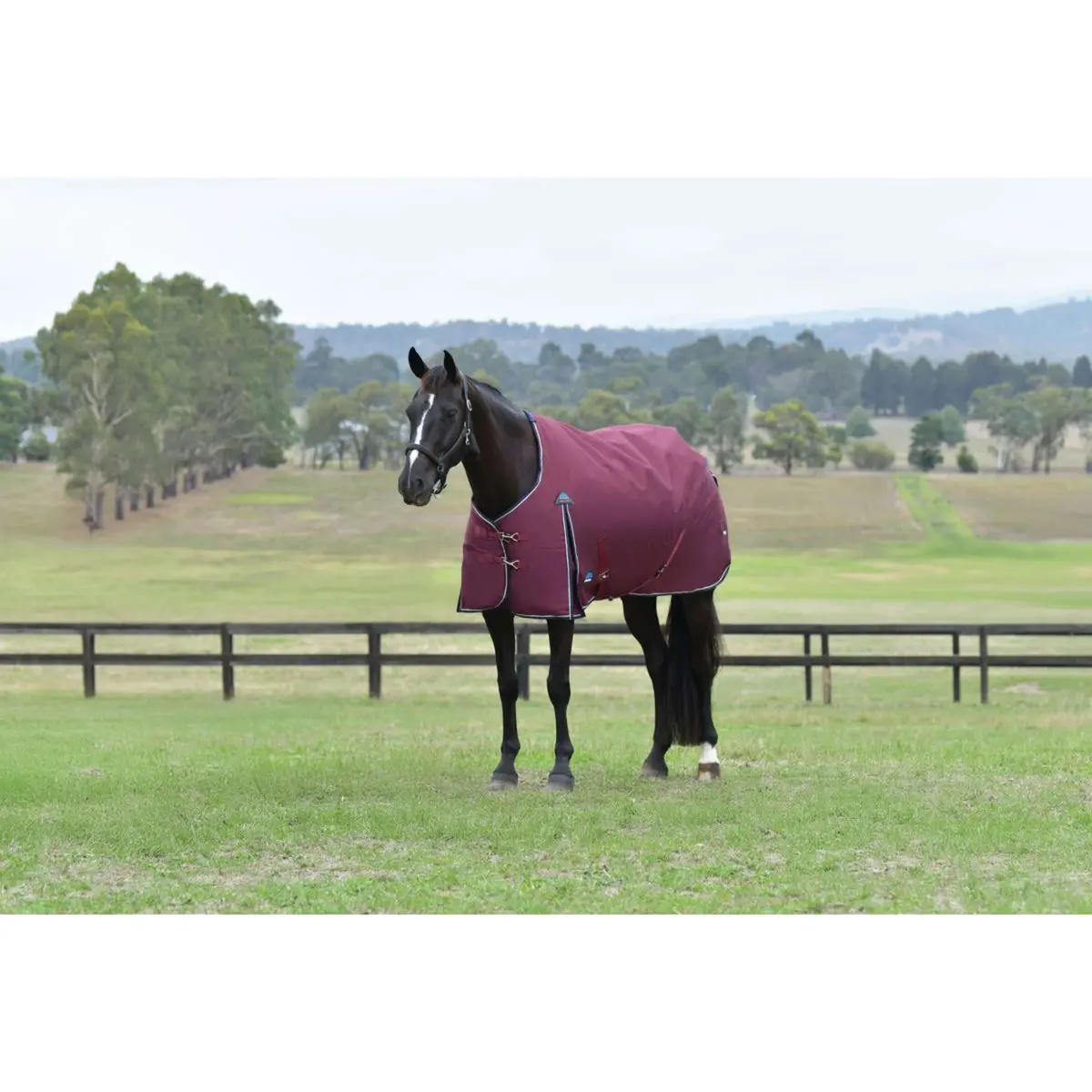 Weatherbeeta Comfitec Essential Turnout 0G Burgundy/Navy 1