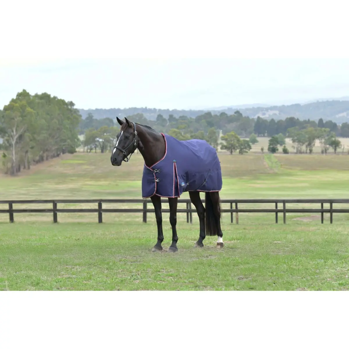 Weatherbeeta Comfitec Essential Turnout 0G Navy/Burgundy 1