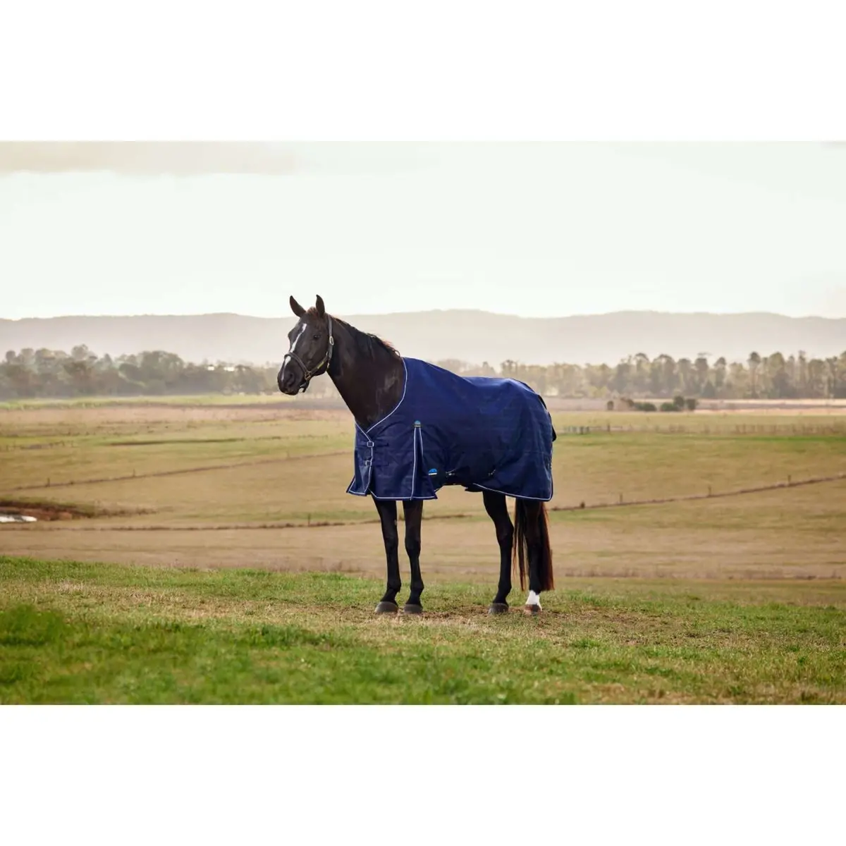 Weatherbeeta Comfitec Prelim Turnout 220G Navy Embossed Plaid 1