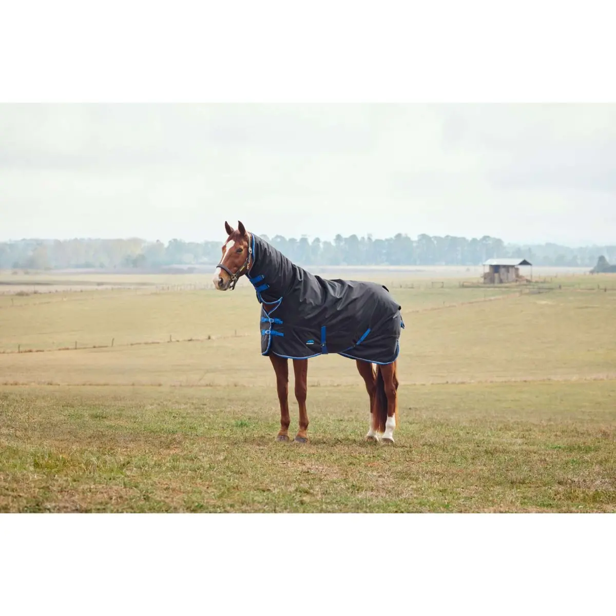 Weatherbeeta Comfitec Tyro Turnout Combo Neck 220G Zwart/Kobalt 1