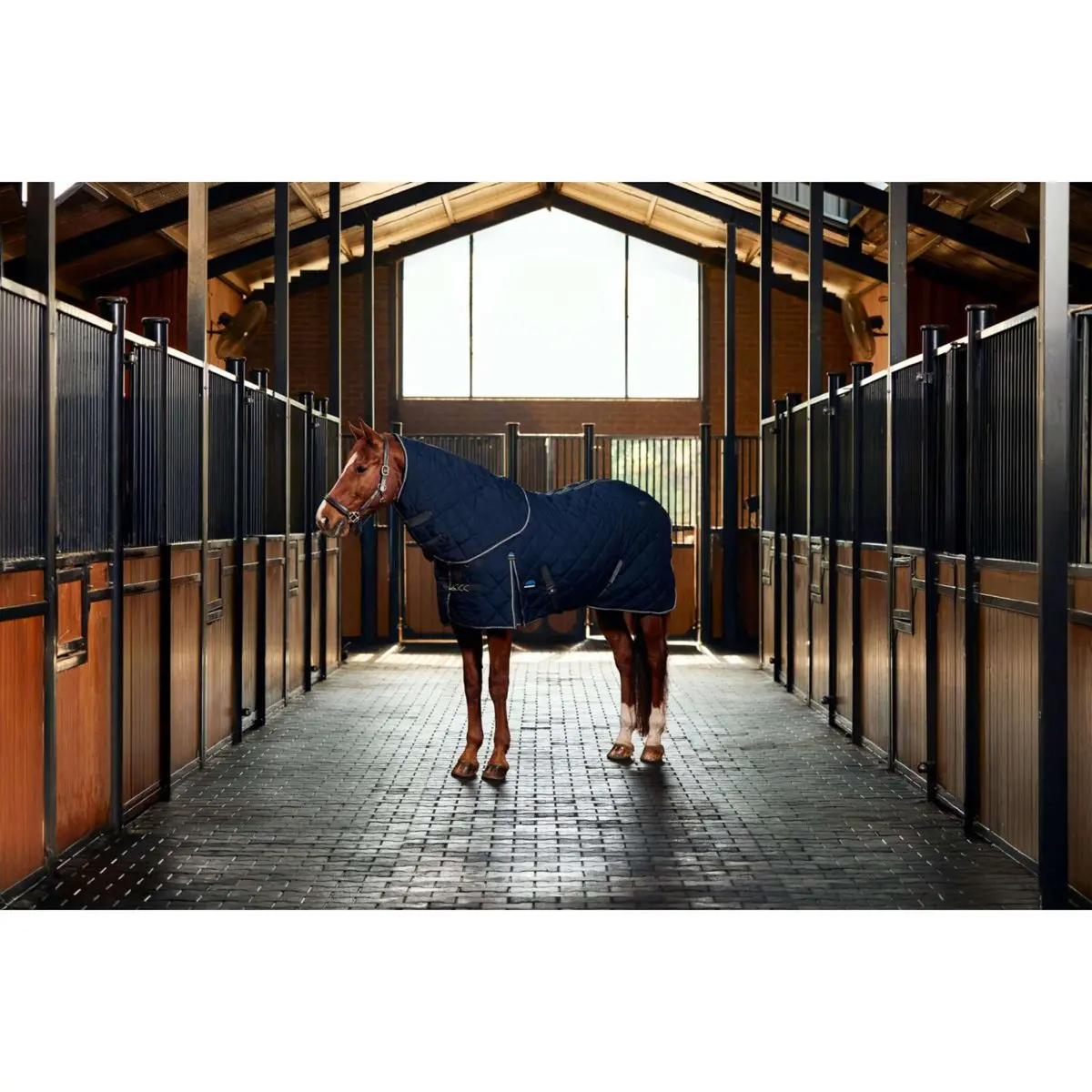Weatherbeeta Staldeken Comfitec 100D Diamond Quilt Detach-A-Neck 220G Navy/Charcoal 1