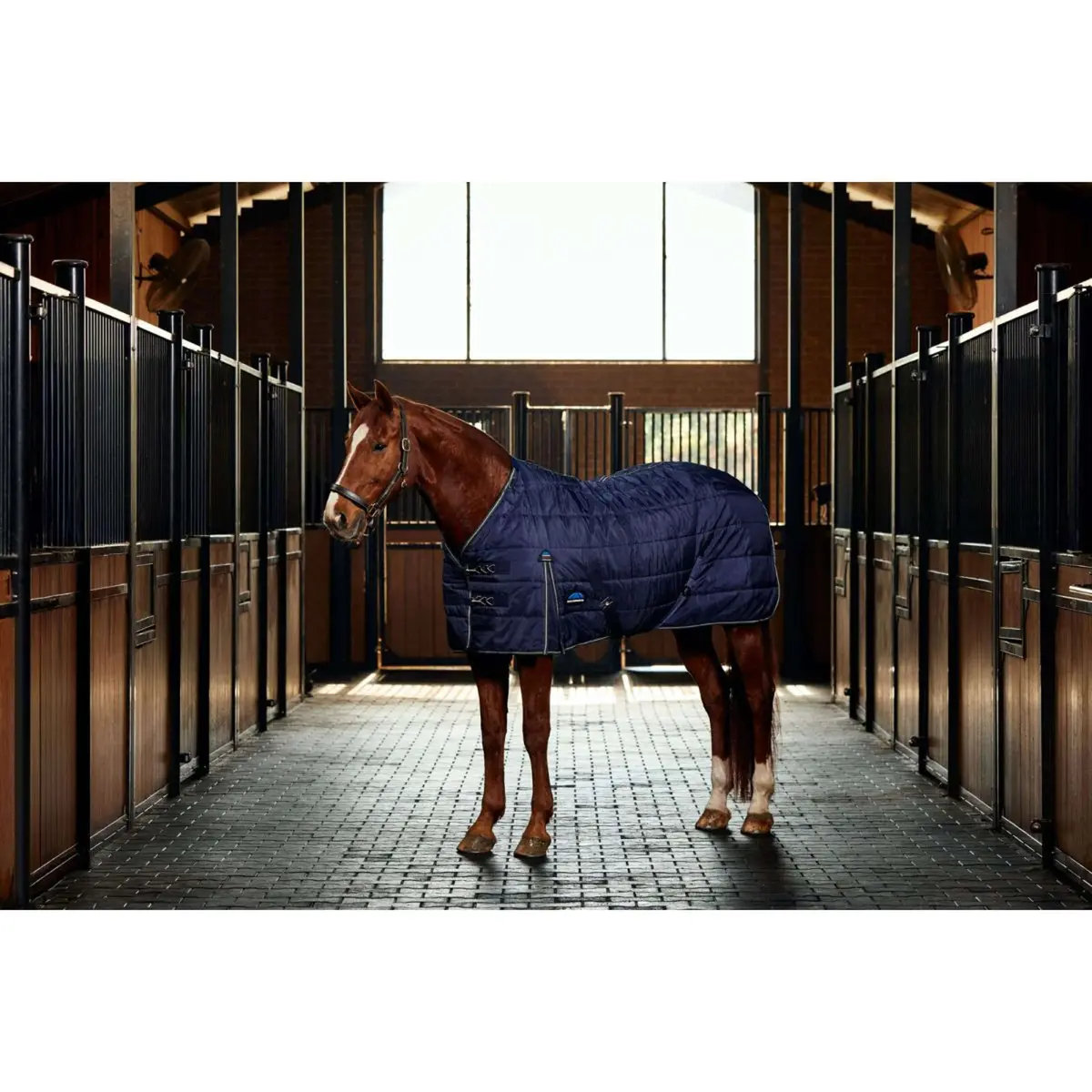 Weatherbeeta Staldeken Comfitec Pp Channel Quilt Detach-A-Neck 220G Navy/Charcoal 1