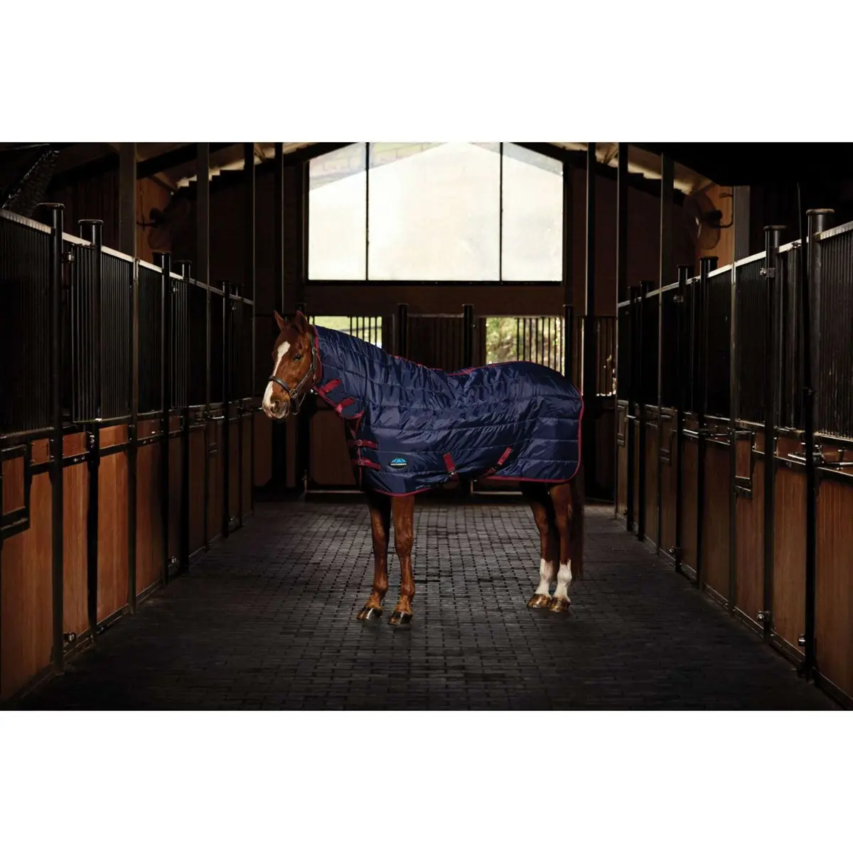 Weatherbeeta Staldeken Comfitec 210D Channel Quilt Combo Neck 100G Navy/Burgundy 1