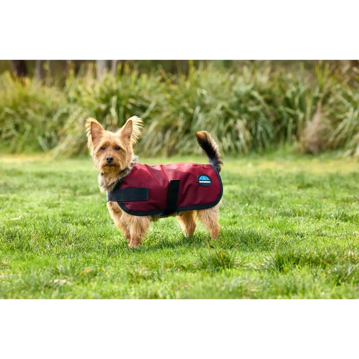 Weatherbeeta Hondendeken Comfitec Classic Waterproof Burgundy 1