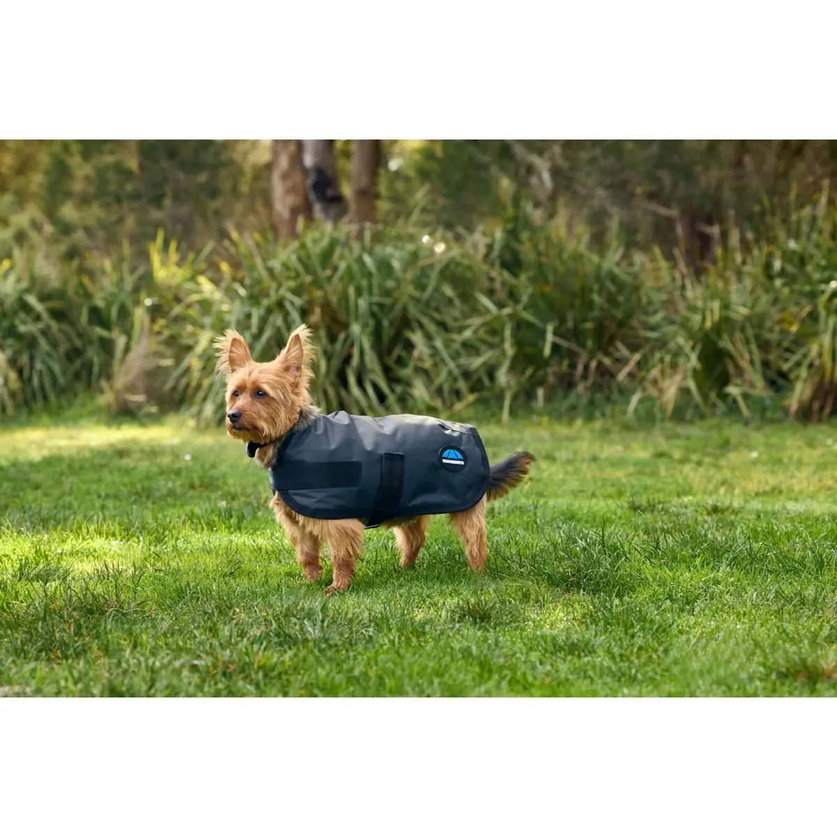 Weatherbeeta Hondendeken Comfitec Classic Waterproof Charcoal 1