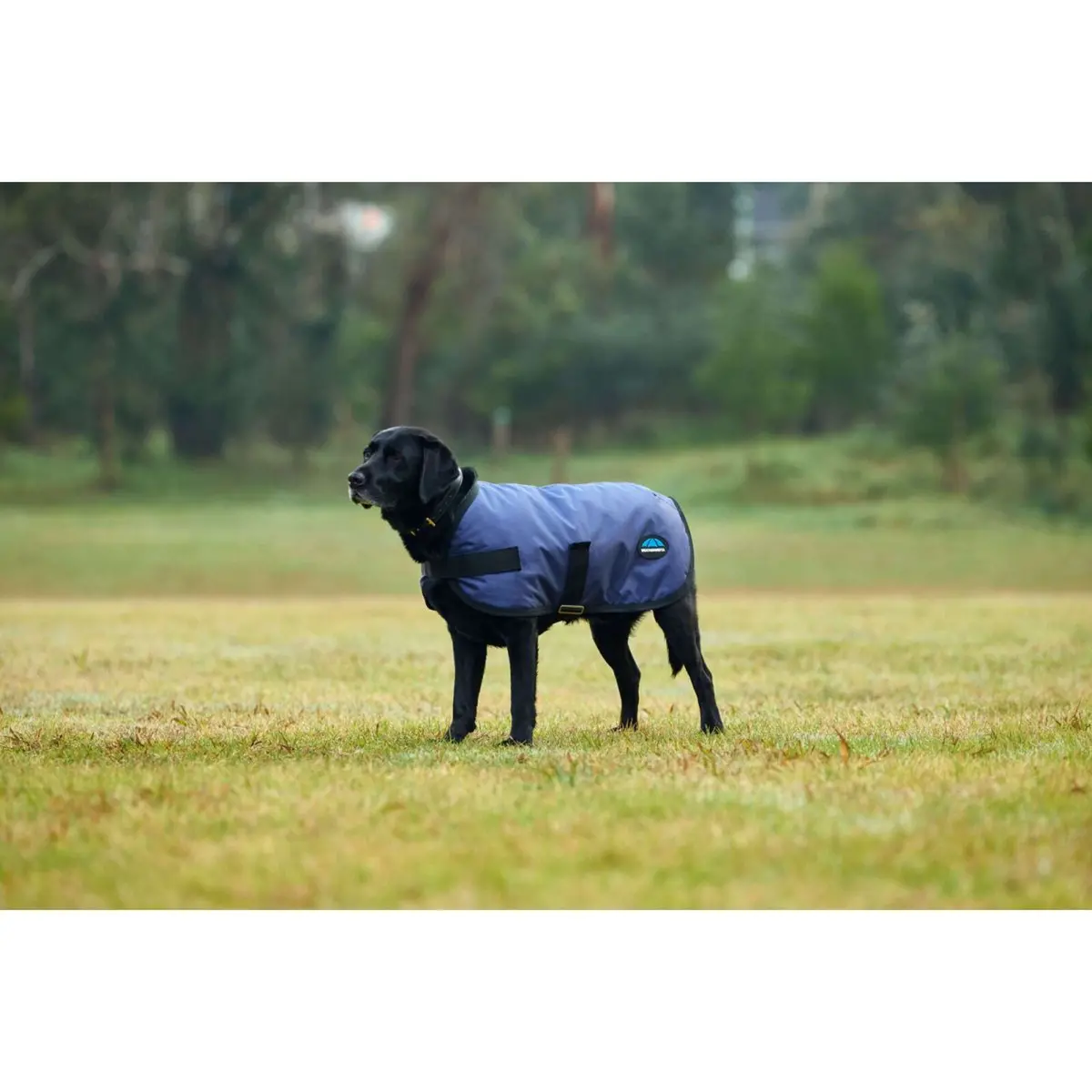 Weatherbeeta Hondendeken Comfitec Classic Waterproof Navy 1