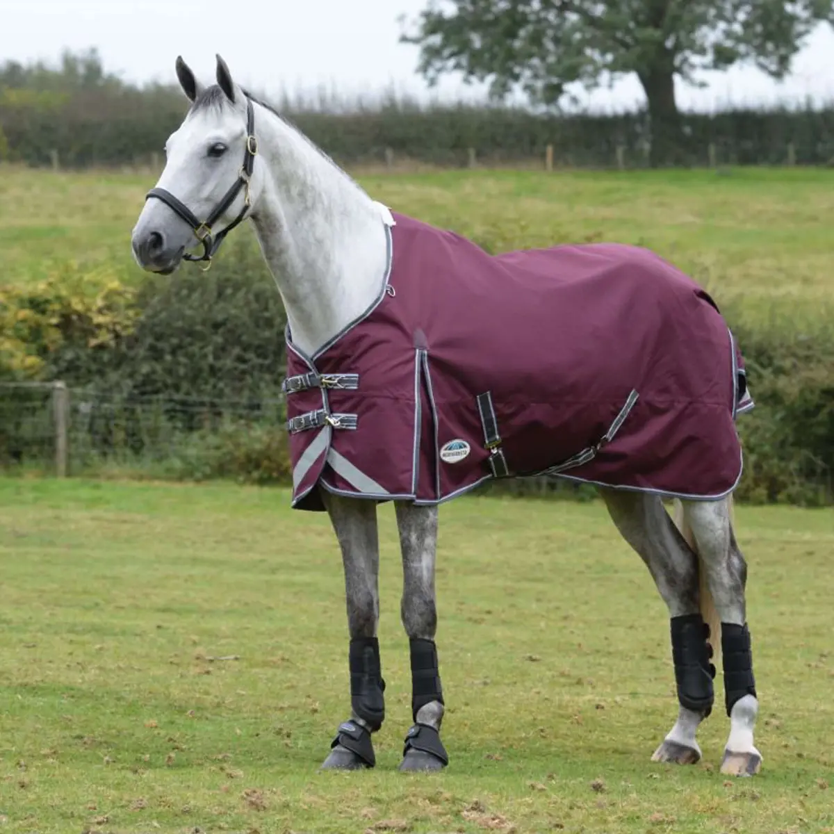 Weatherbeeta Winterdeken Comfitec Plus Dynamic Ii Standard Neck Medium 220G Maroon/Grijs/Wit 1