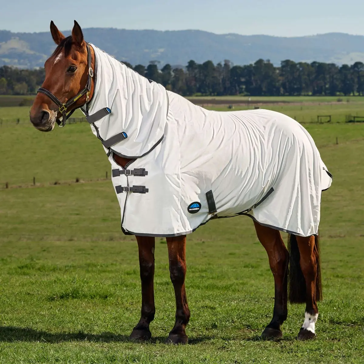 Weatherbeeta Vliegendeken Comfitec Tyro Combo Wit/Charcoal 1