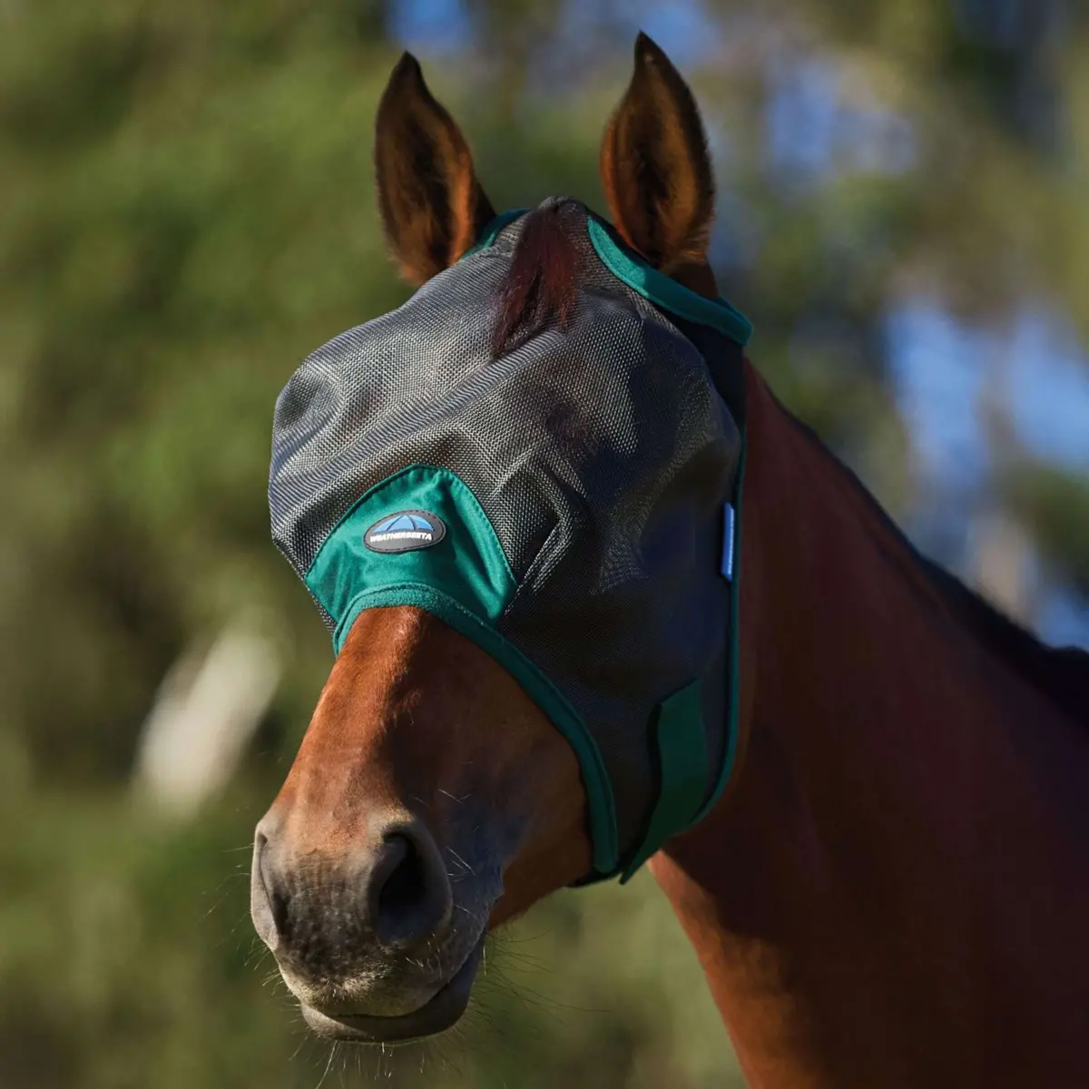 Weatherbeeta Vliegenmasker Comfitec Durable Zonder Oren Black/Forest Green 1