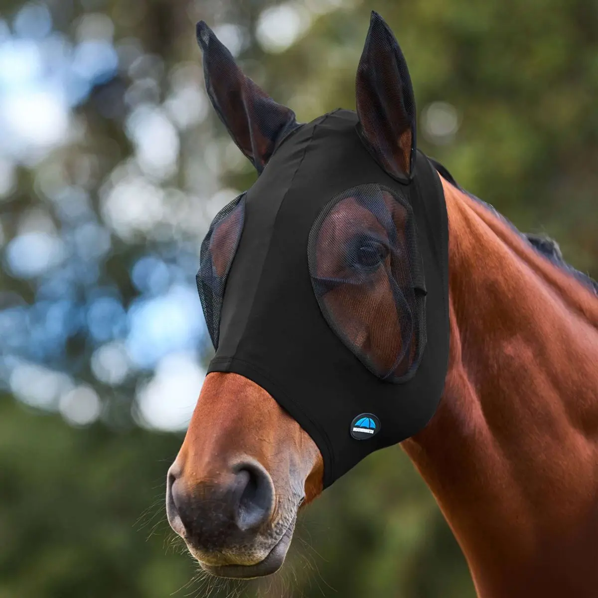 Weatherbeeta Vliegenmasker Comfitec Stretch Met Oren Zwart/Zwart 1