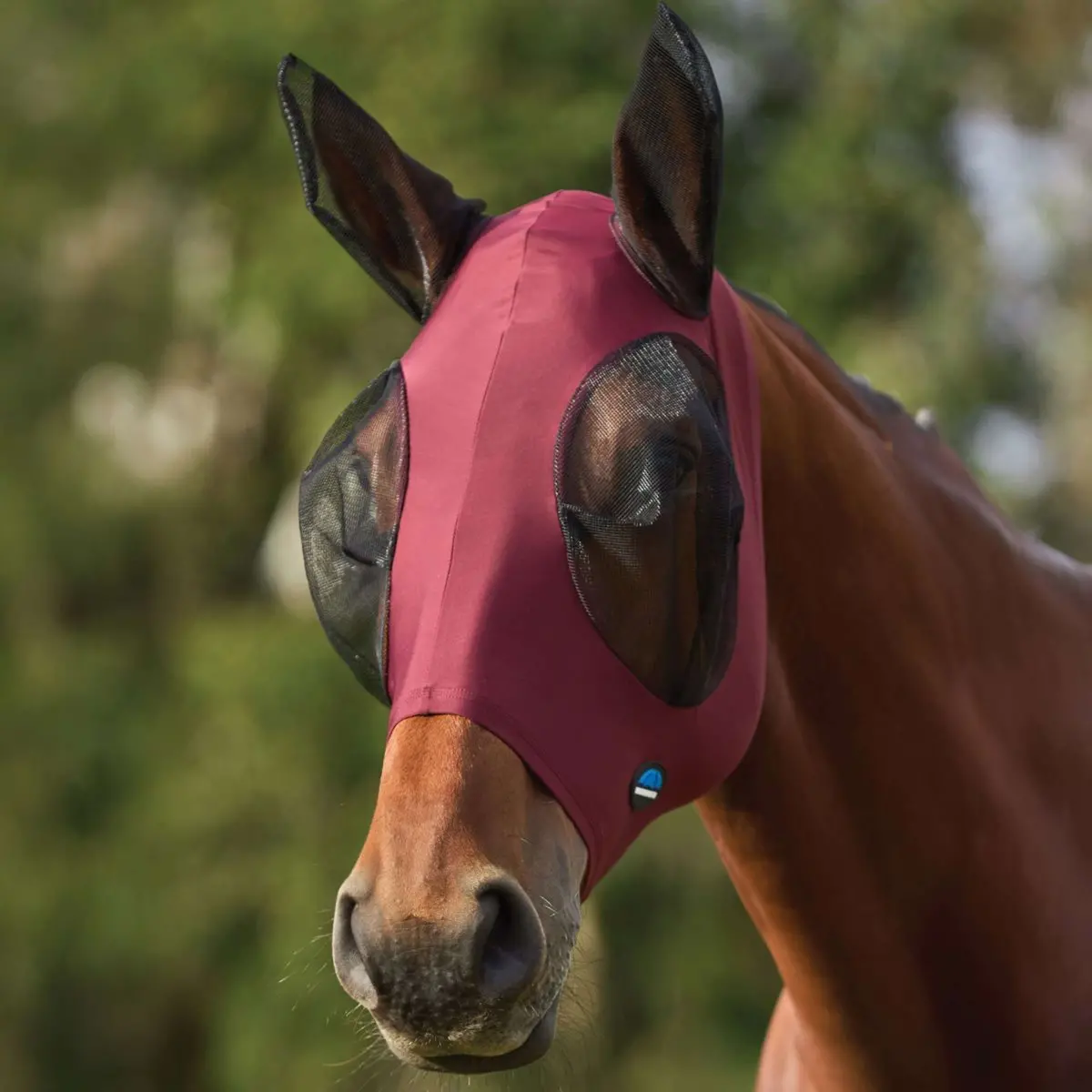 Weatherbeeta Vliegenmasker Comfitec Stretch Met Oren Burgundy/Zwart 1