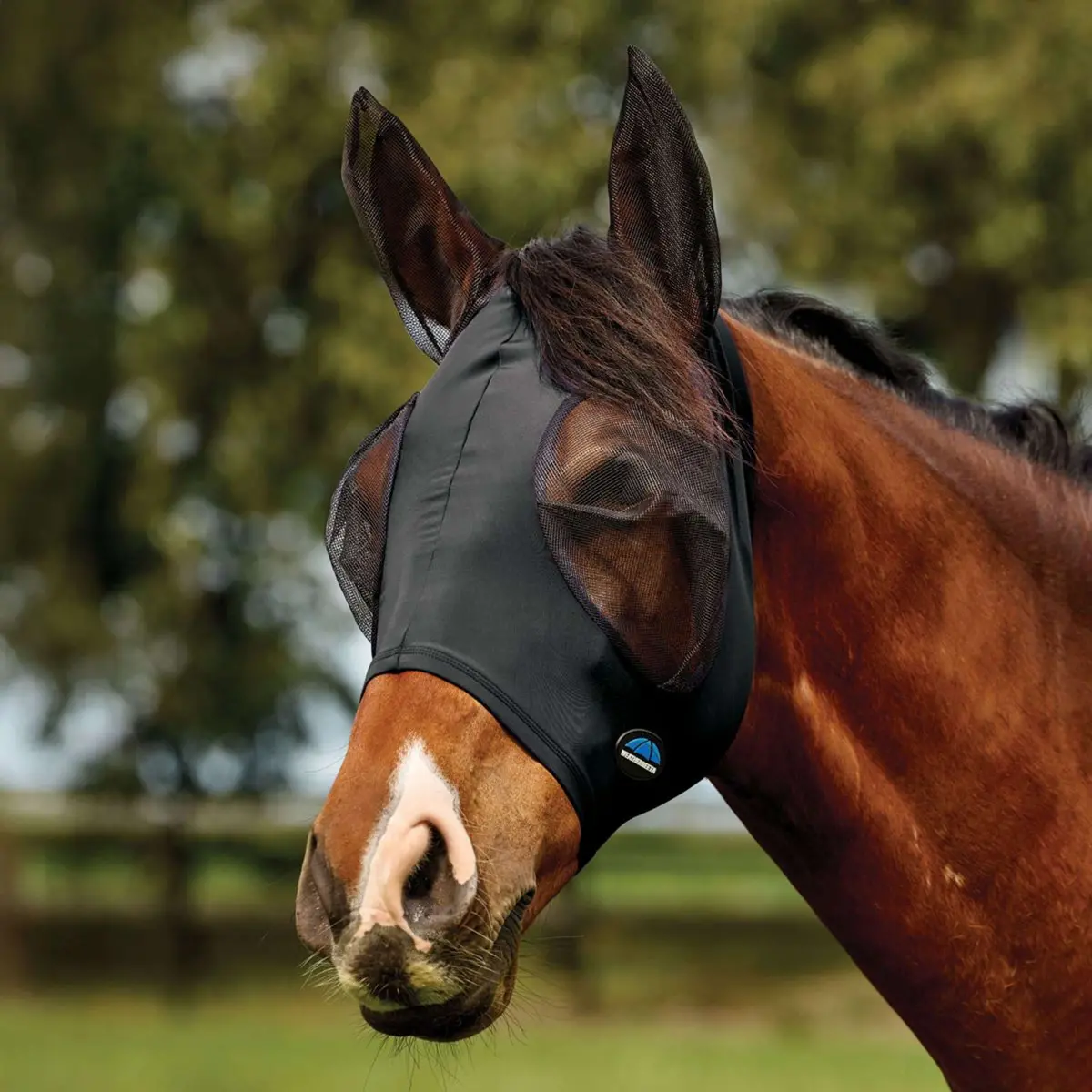 Weatherbeeta Vliegenmasker Comfitec Deluxe Stretch Met Oren Zwart/Zwart 1