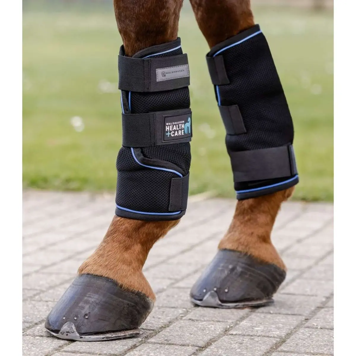 Waldhausen Health + Care Ice Boots Zwart 1