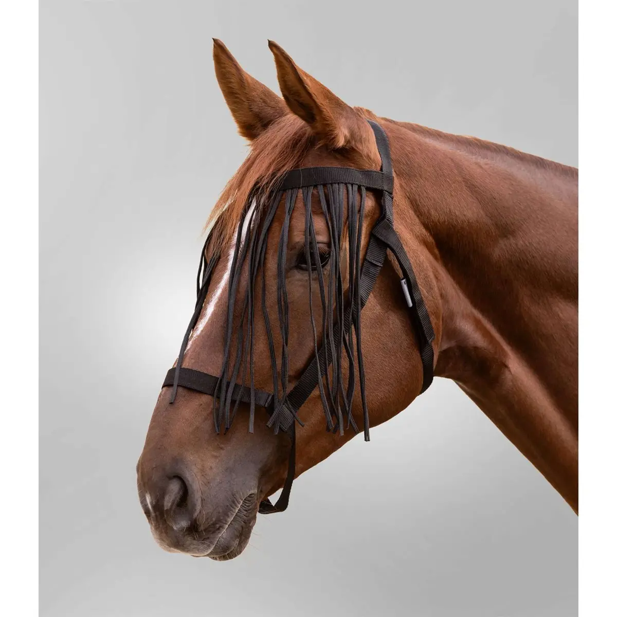 Waldhausen Halster Grazing Met Franje Zwart 1