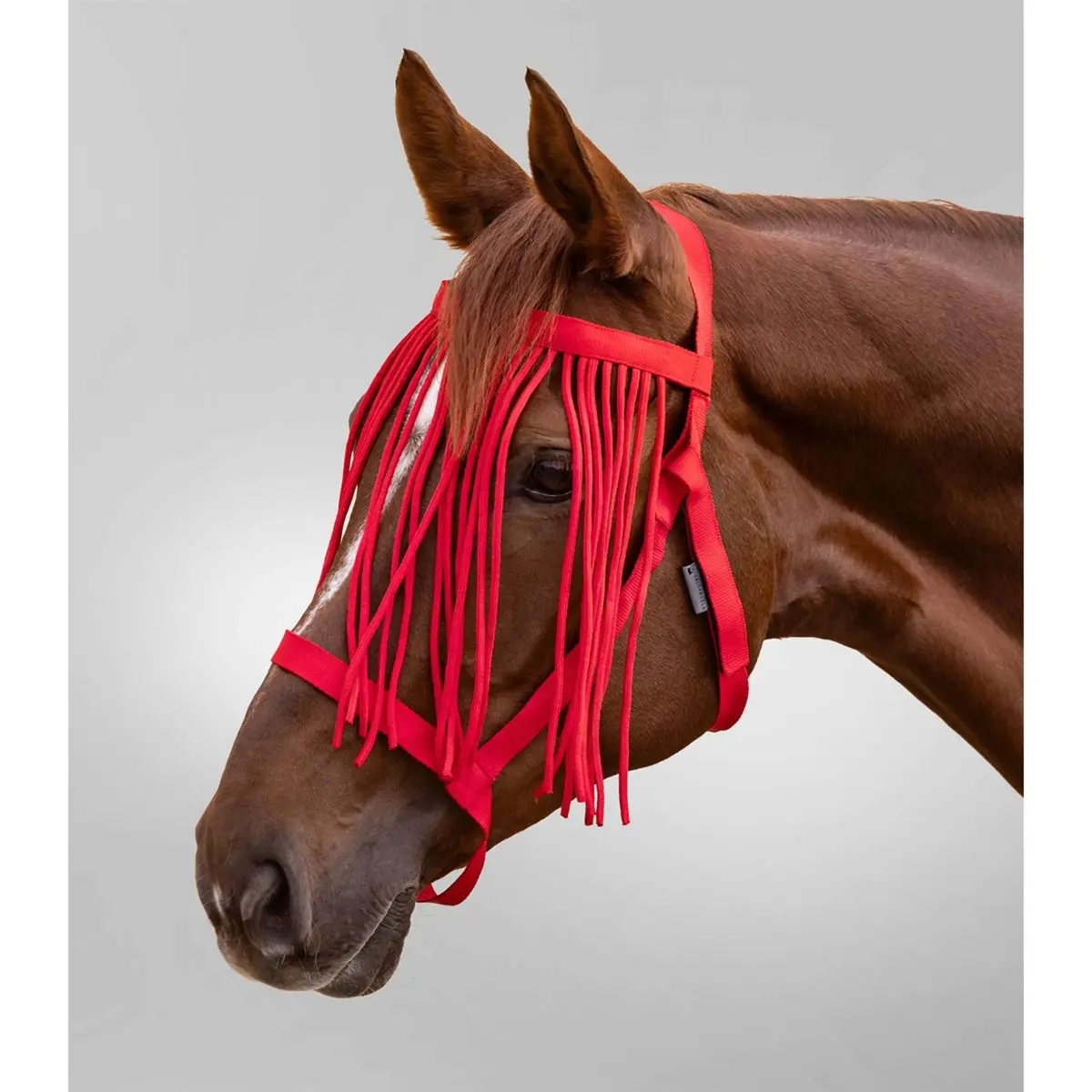 Waldhausen Halster Grazing Met Franje Rood 1