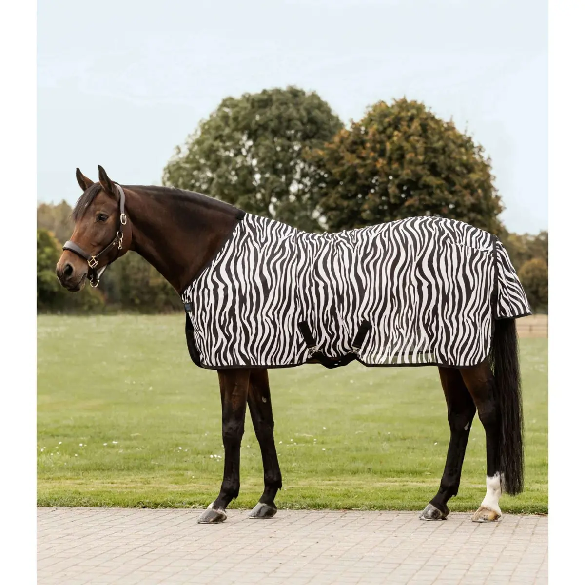 Waldhausen Vliegendeken 2.0 Zebra 1