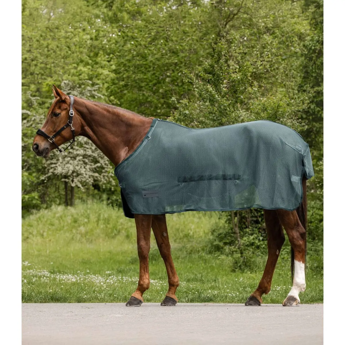 Waldhausen Vliegendeken Comfort Met Buikflap Pine Green 1