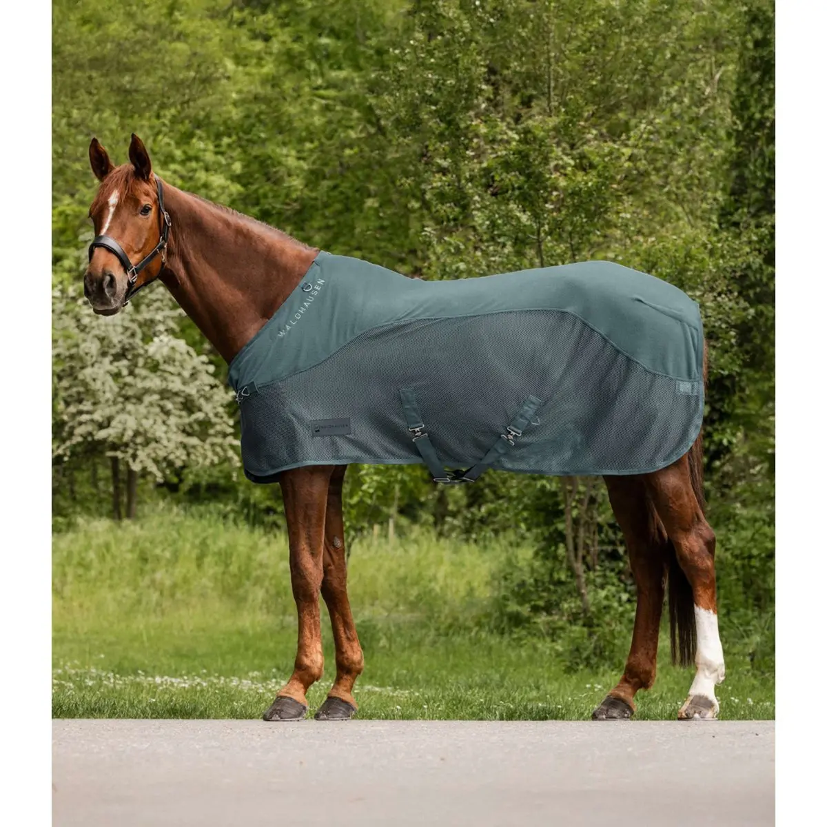 Waldhausen Vliegendeken Fleece Comfort Pine Green 1